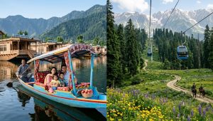 Jammu and Kashmir Trip Cost