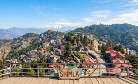 shimla trip cost
