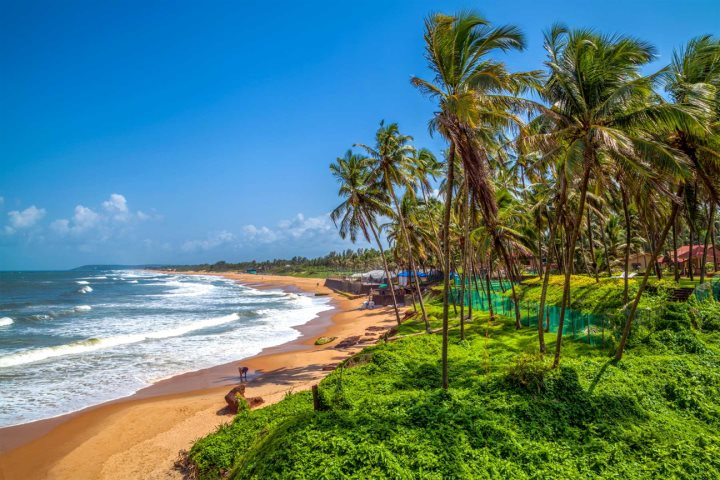 goa best time to visit